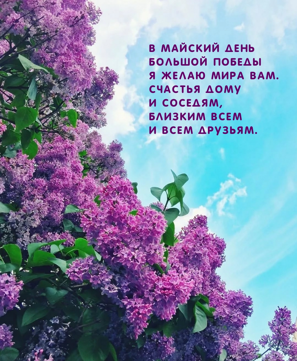� ������� ���� ������� ������ � ����� ���� ���.