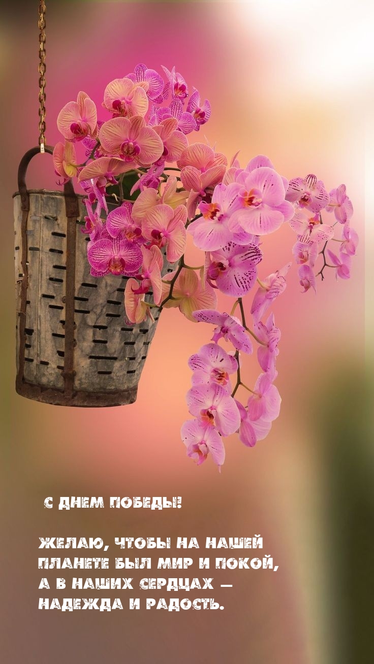 � ���� ������! �����, ����� �� ����� ������� ��� ��� � �����