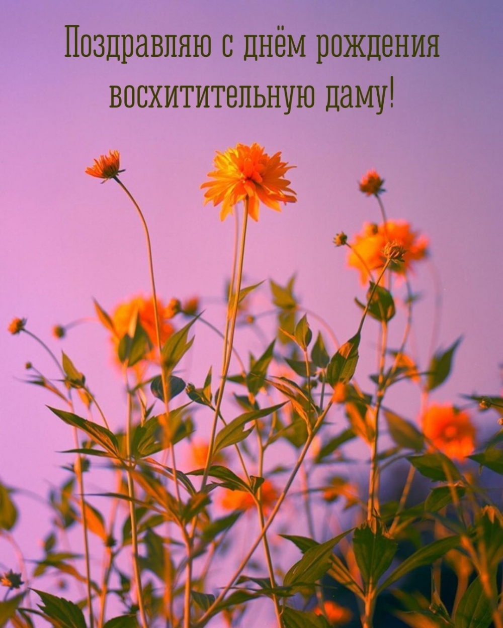 ���������� � ���� �������� �������������� ����!