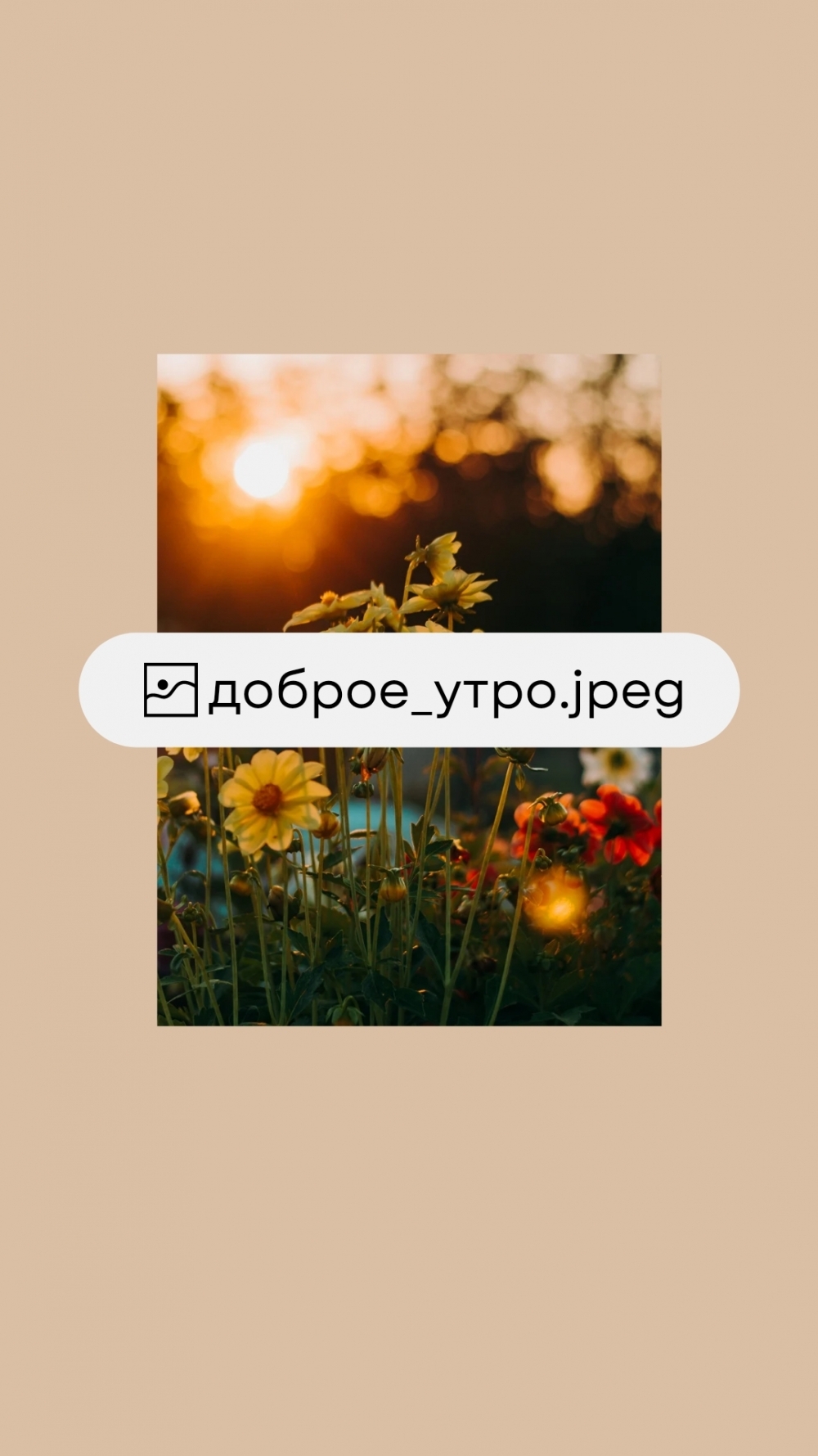 ������ ����