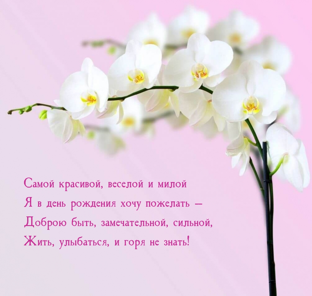 � � ���� �������� ���� �������� � ������ ����, ������������� 