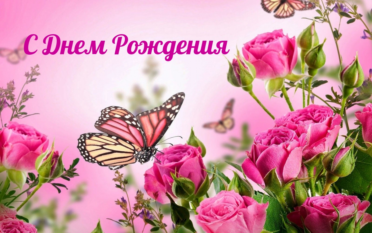 � ���� ��������