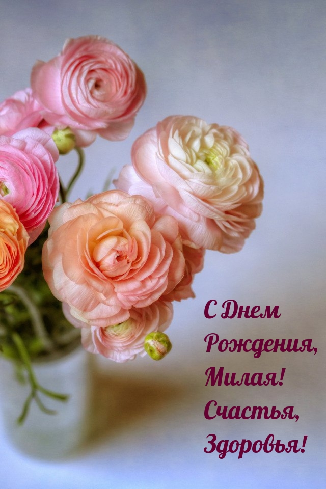 � ���� ��������, �����! �������, ��������!