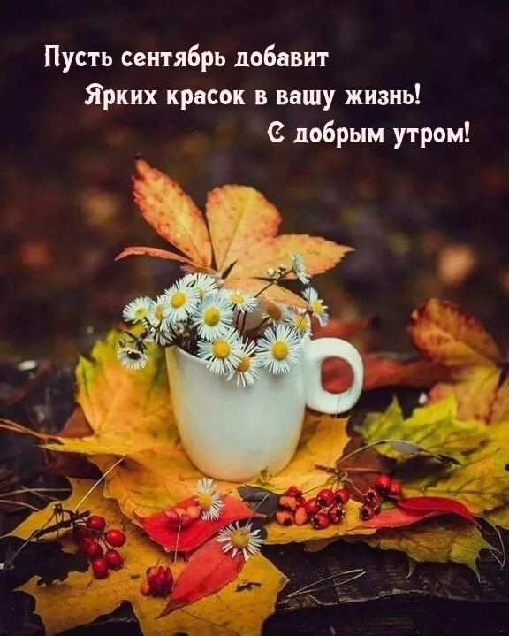 ����� �������� ������� ����� ������ � ���� �����! � ������ �����!