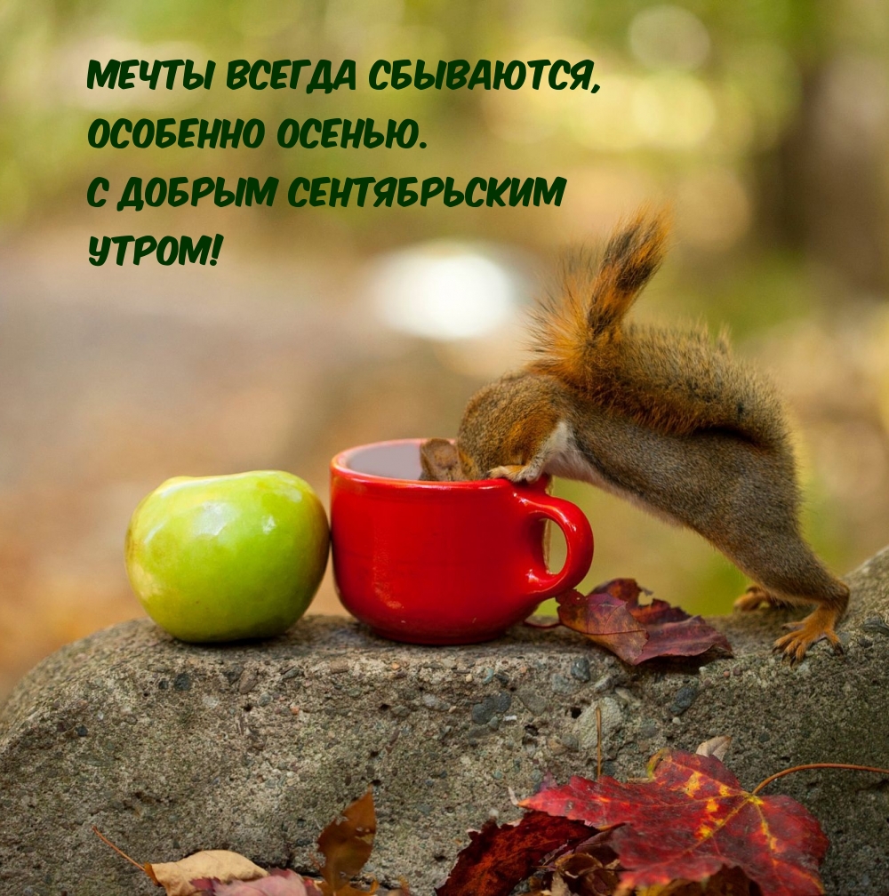 � ������ ������������ �����! ����� ������ ���������