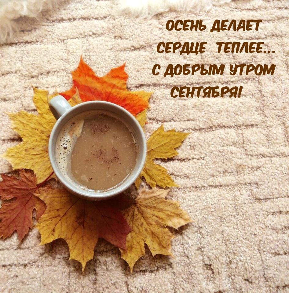 ����� ������ ������ ������... � ������ ����� ��������!