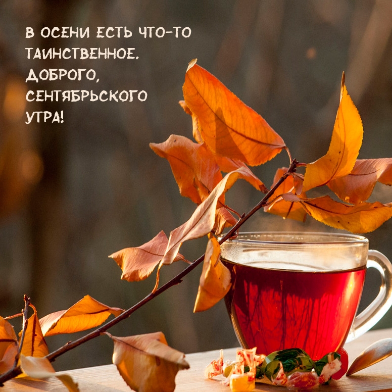 � ����� ���� ���-�� ������������. �������, ������������� ����!