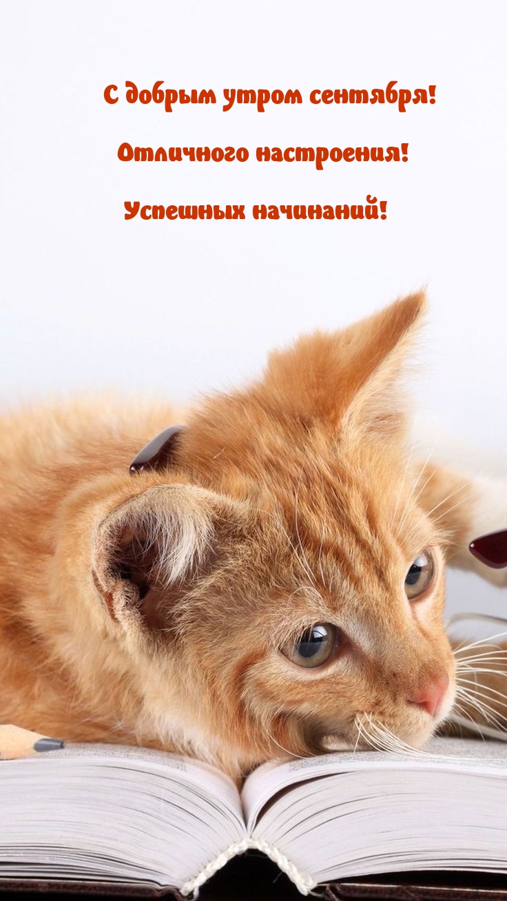 � ������ ����� ��������! ��������� ����������!