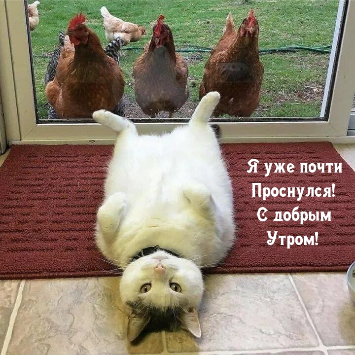 � ��� ����� ���������! � ������ �����!