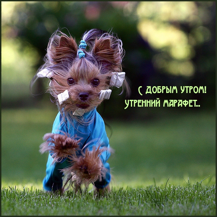 � ������ �����! �������� �������..