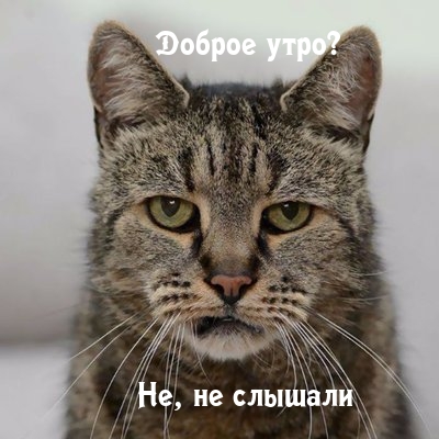 ������ ����? ��, �� �������