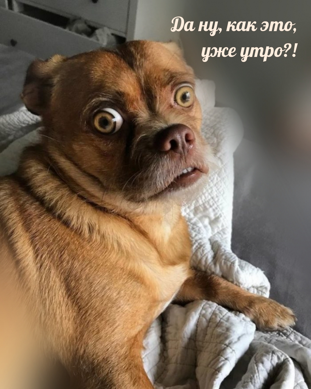 �� ��, ��� ���, ��� ����?!