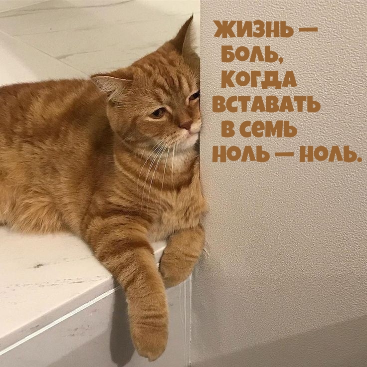 ����� � ����, ����� �������� � ���� ���� � ����.