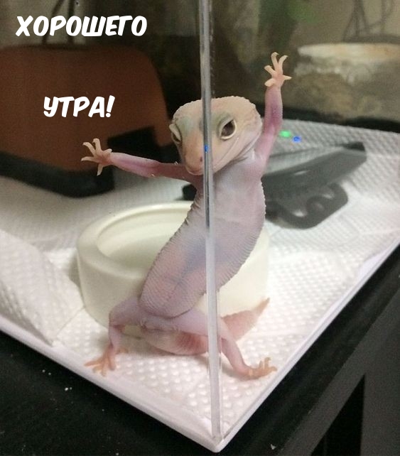�������� ����!