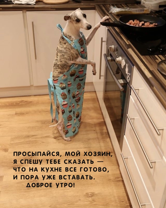 ����������, ��� ������ �� ����� ��� ������