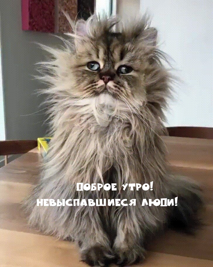 ������ ����! ������������� ����!