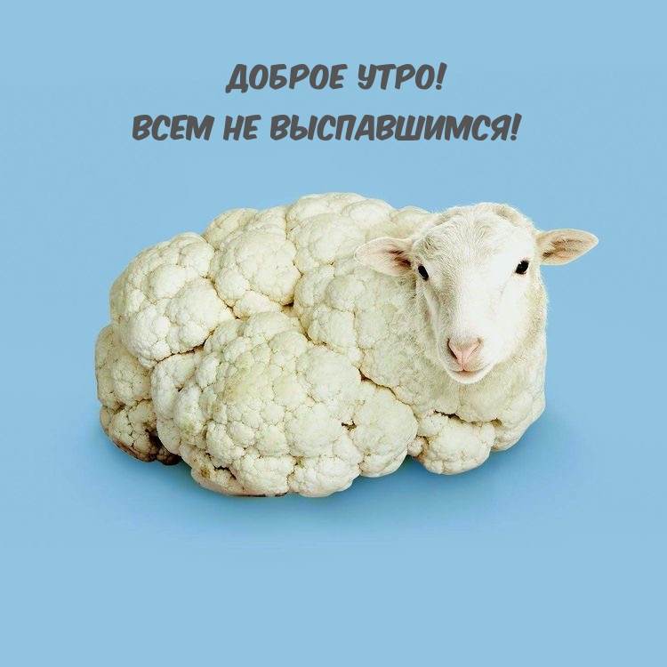 ������ ����! ���� �� �����������!