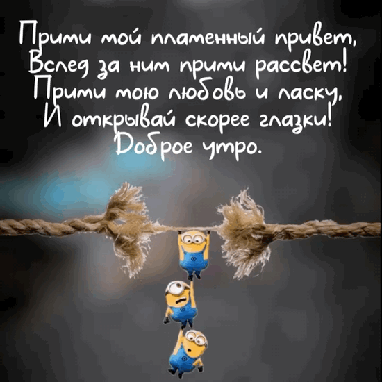 ������ ����. ����� ��� ��������� ������
