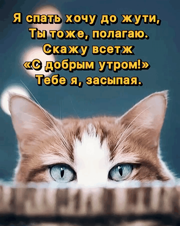 ����� ��� � �� ������ �����!�