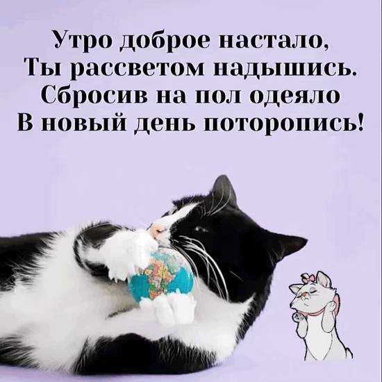 ���� ������ �������, ��������� ��������.