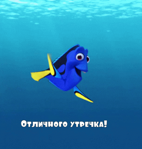 ��������� �������!
