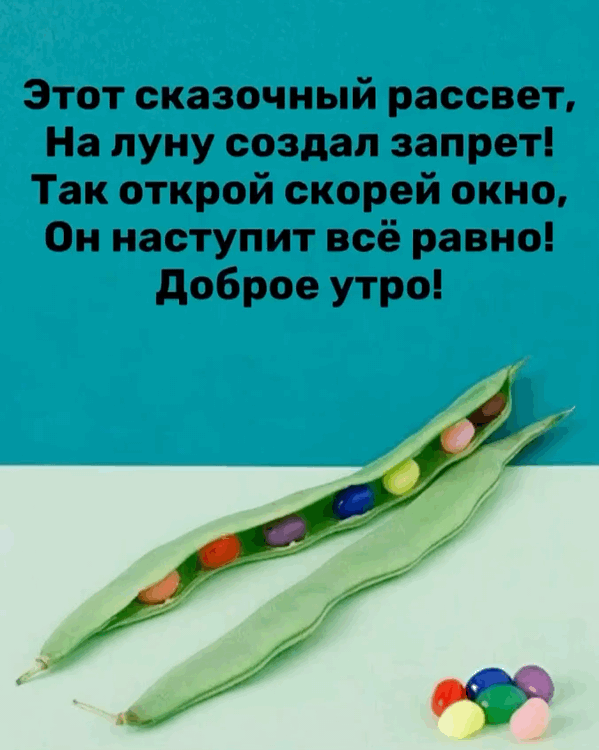 ��������� �������, �� ���� ������ ������!