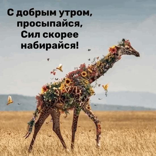 � ������ �����, ���������� 