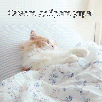 ������ ������� ����!