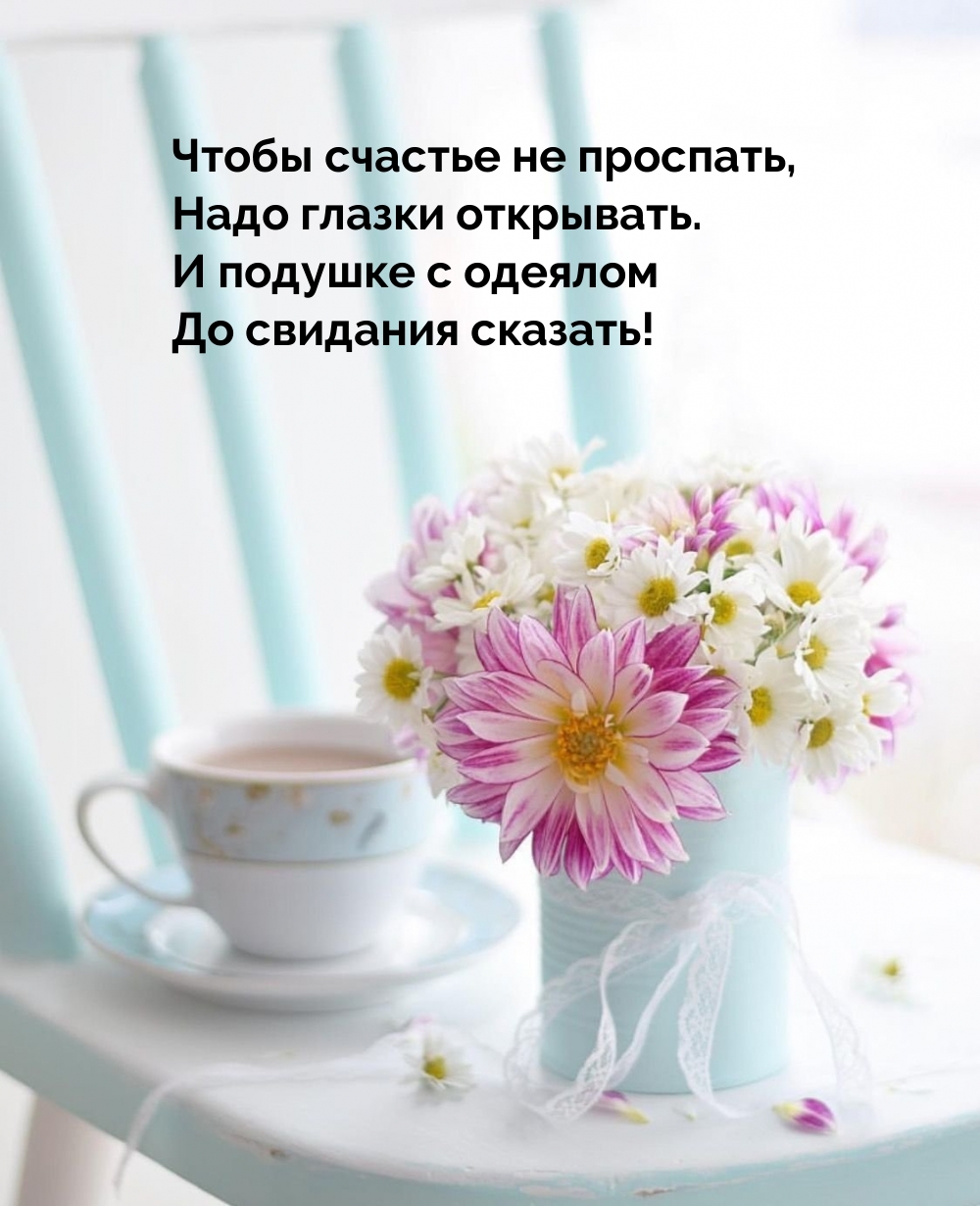 ����� ������� �� ��������, ���� ������ ���������.