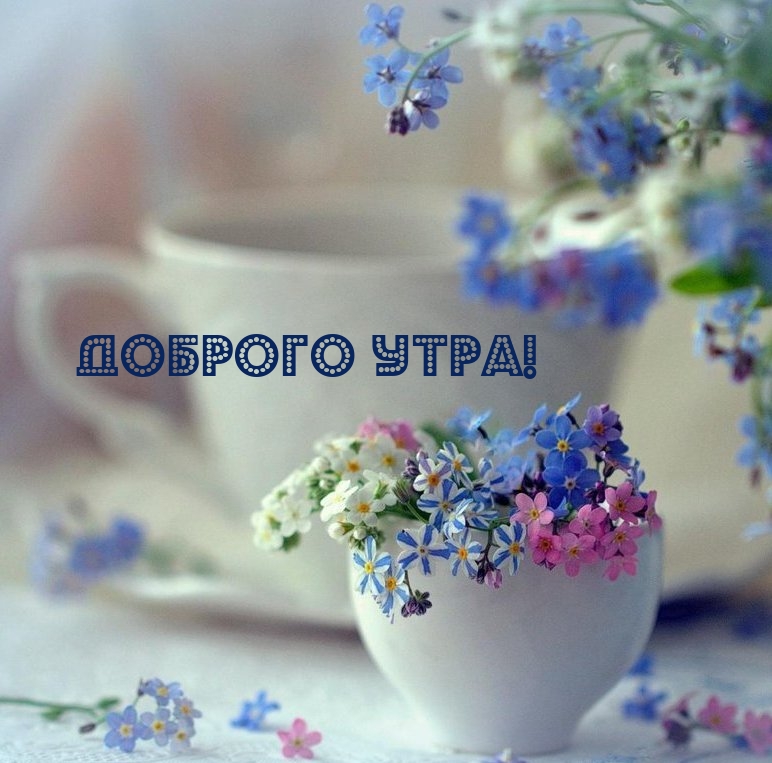 ������� ����!