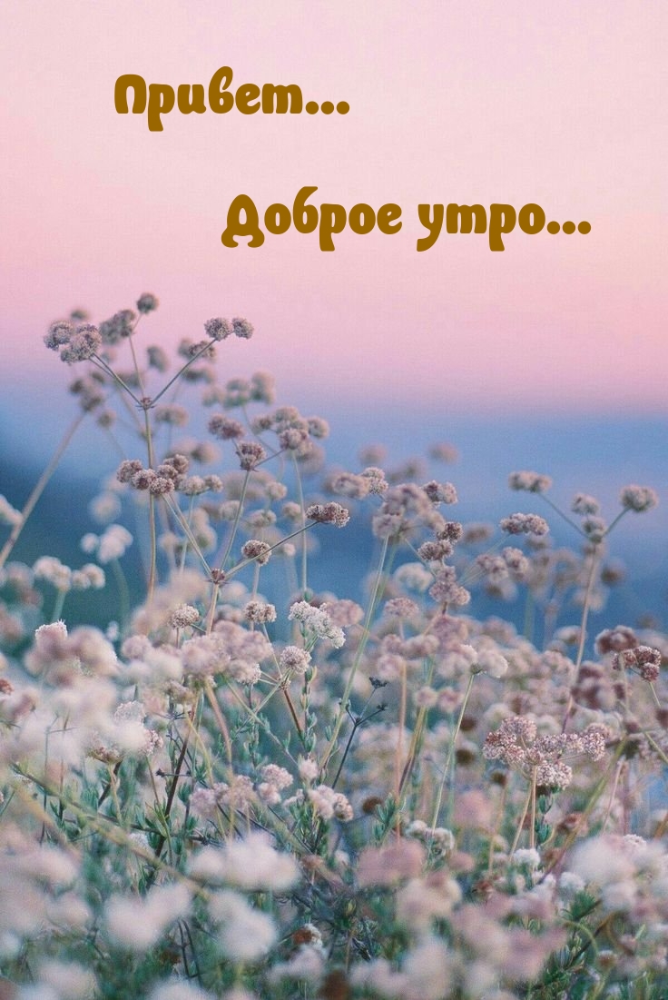 ������... ������ ����...