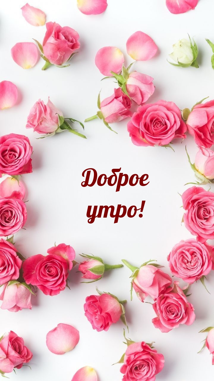 ������ ����!