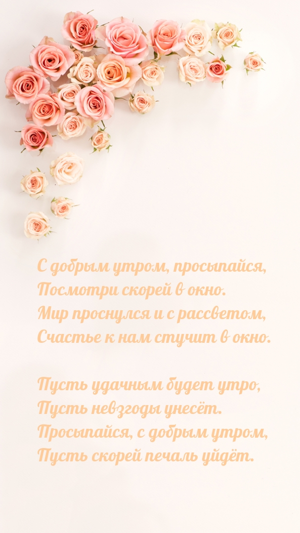 � ������ �����, ����������, �������� ������ � ����.
