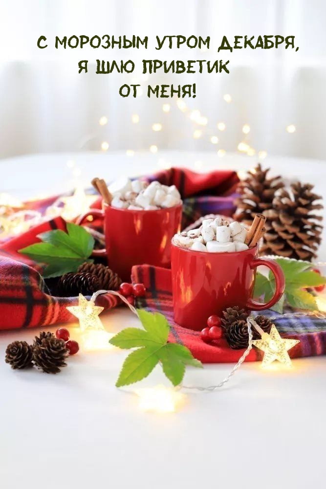 � �������� ����� �������, � ��� �������� �� ����!
