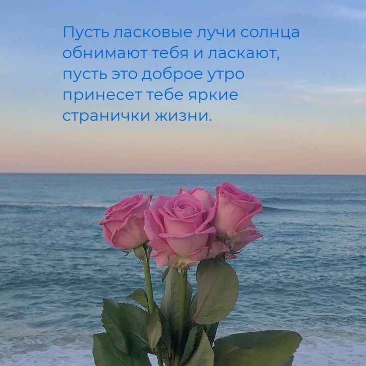 ����� ��� ������ ���� �������� ���� ����� ��������� �����.