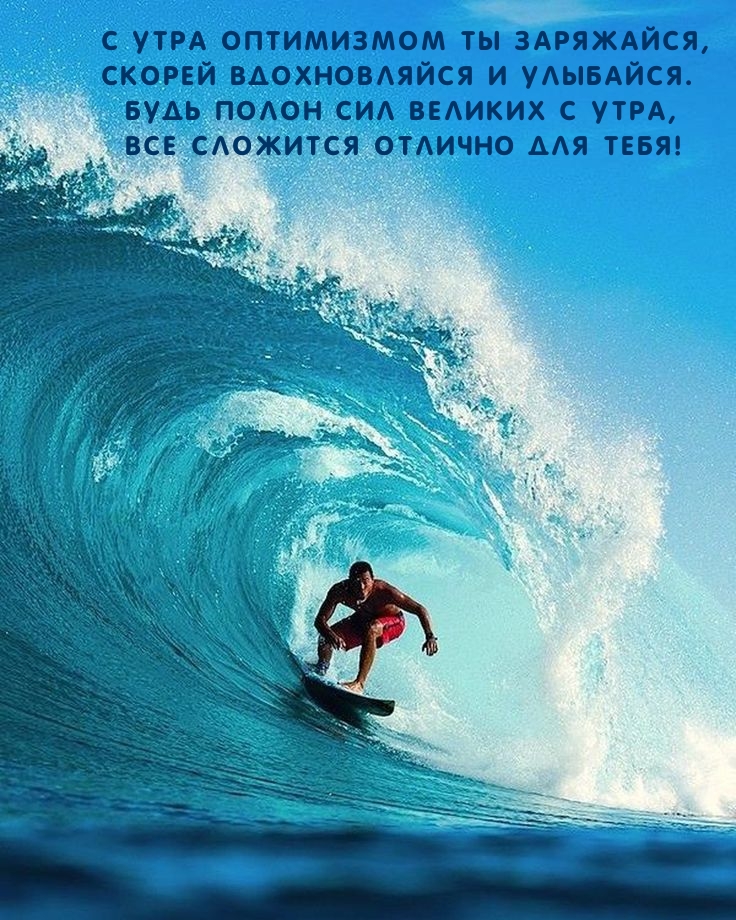 � ���� ���������� �� ���������, ������ ������������ � ��������.