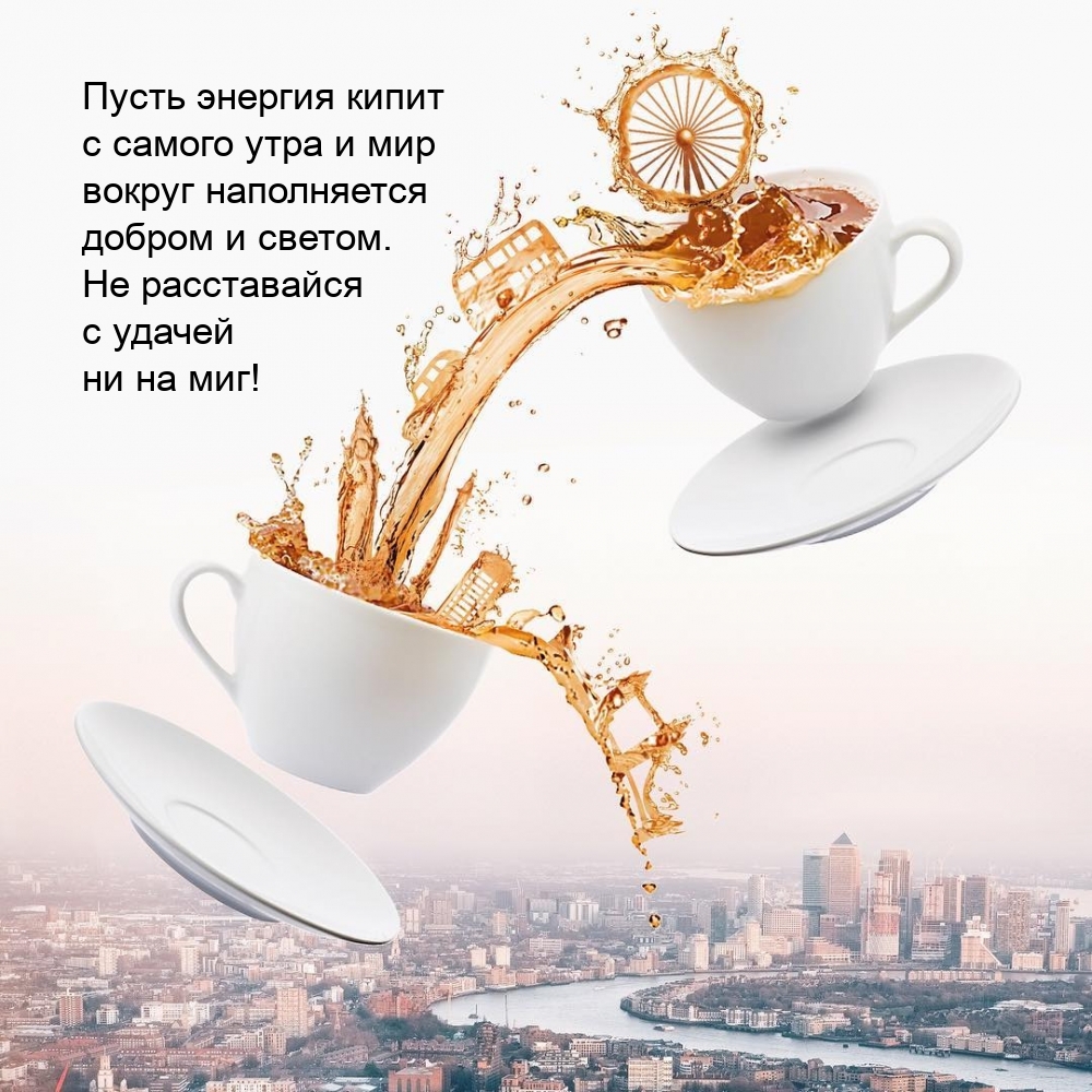 ����� ������� ����� � ������ ���� � ��� ������ ����������� ������ 