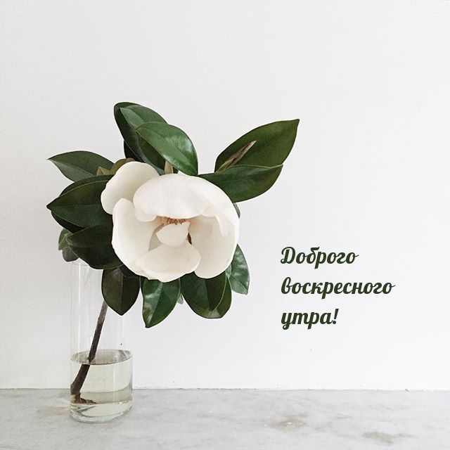 ������� ����������� ����!