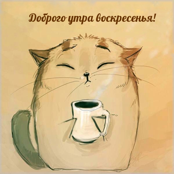 ������� ���� �����������!