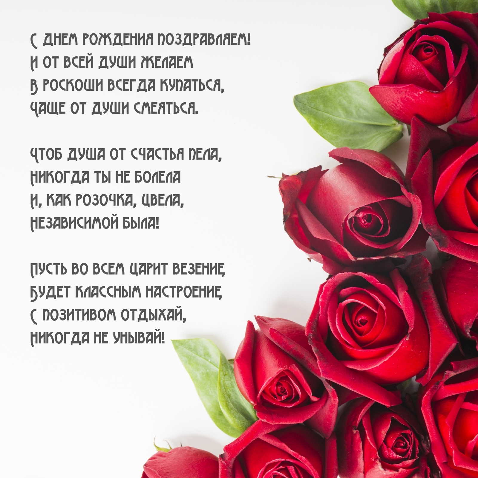 � ���� �������� �����������! � ��������� �������