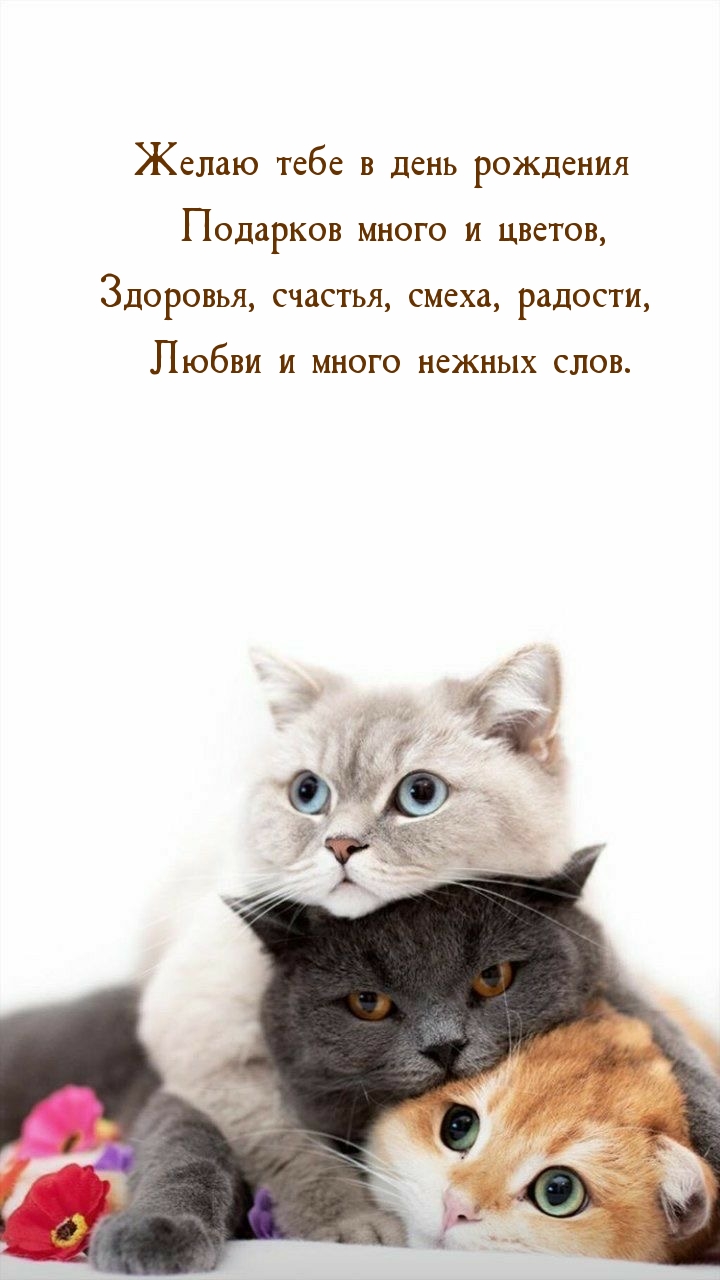 ����� ���� � ���� �������� �������� ����� � ������