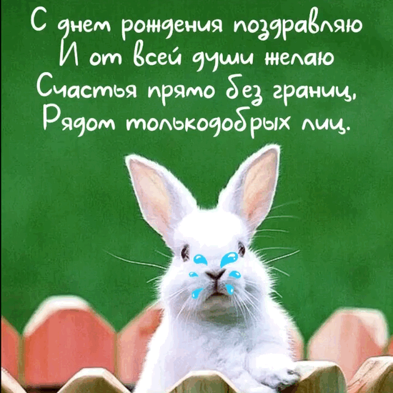 � ���� �������� ������� ����� ��� ������