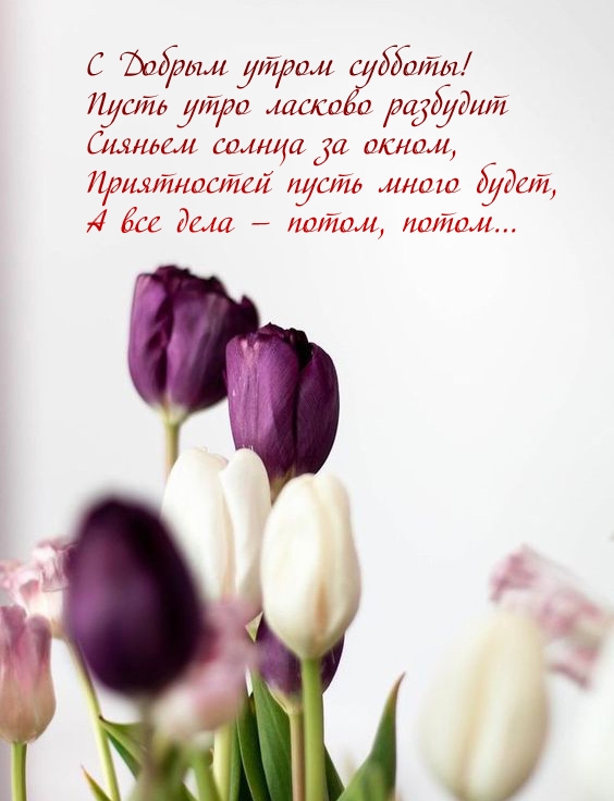 � ������ ����� �������! ����� ���� ������� ��������