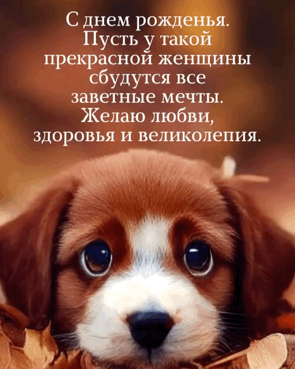 ����� � ���������� ������� �������� ��� 