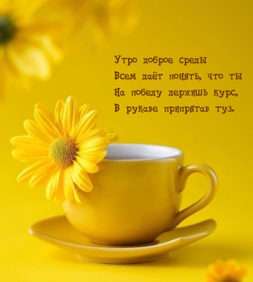 ���� ������ ����� ���� ��� ������, ��� �� �� ������ ������� ����