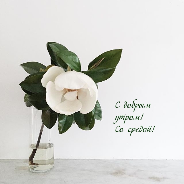 � ������ �����! �� ������!