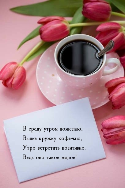 � ����� ����� �������, ����� ������ ����-��� ��������� ���������.