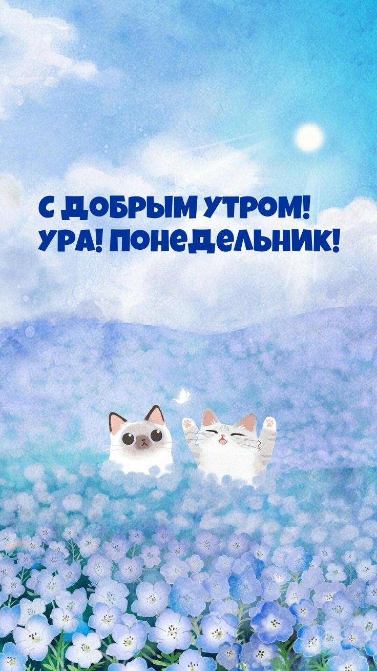 � ������ �����! ���! �����������!