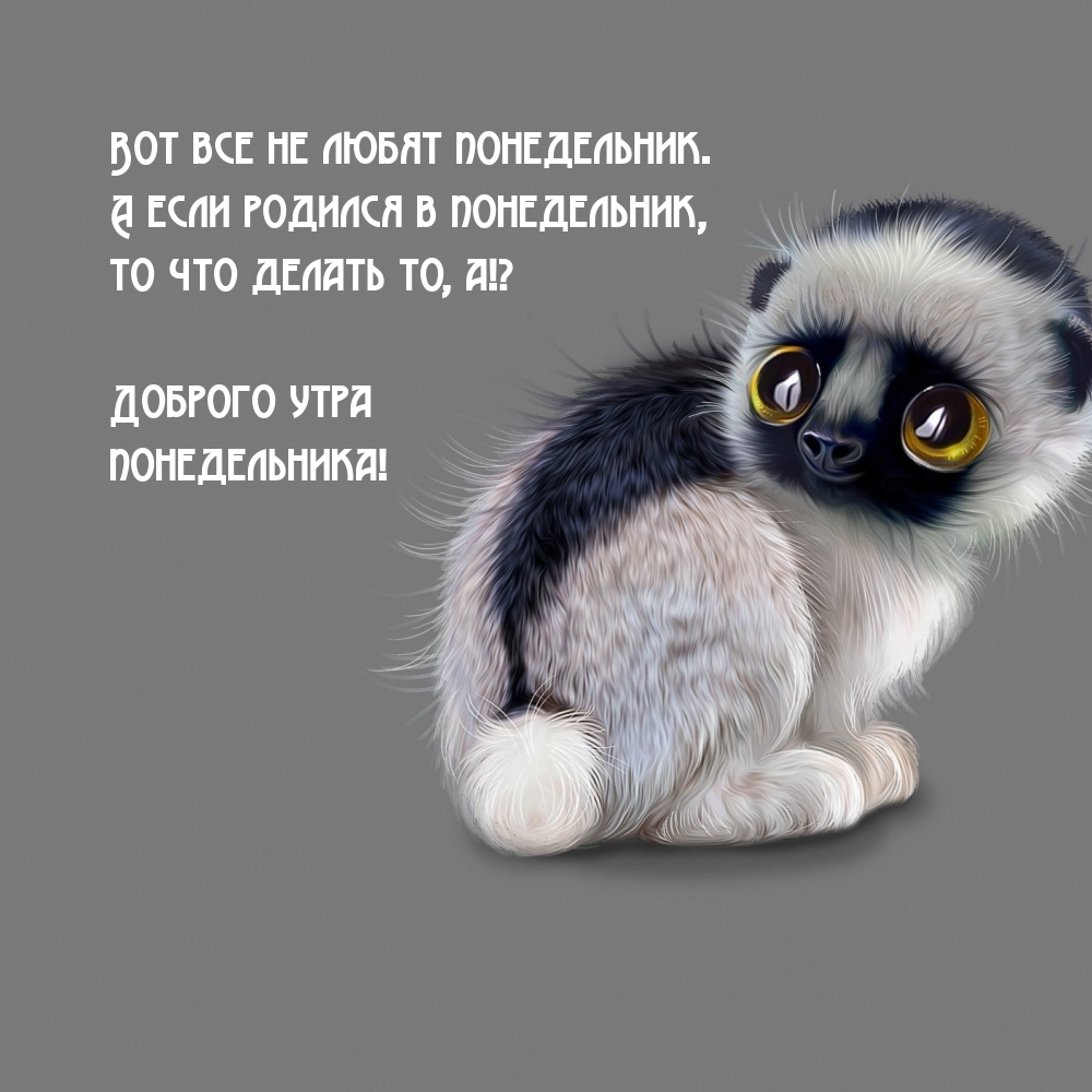 ��� ��� �� ����� �����������. � ���� ������� � �����������