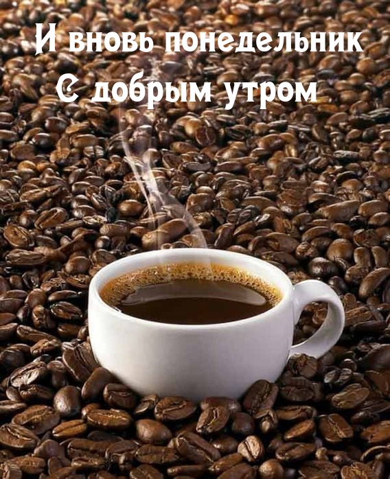 � ����� ����������� � ������ �����